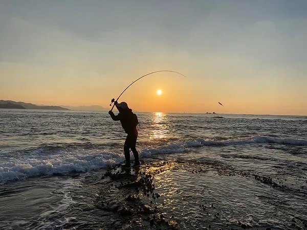 TRANSCENDENCE/トランスセンデンス】Mareflipp 102S / マーレフリップ