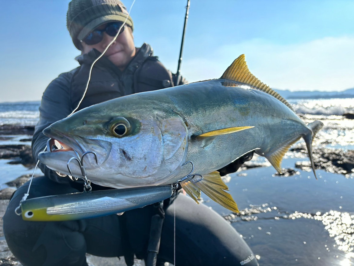 TRANSCENDENCE/トランスセンデンス】Mareflipp 102S / マーレフリップ