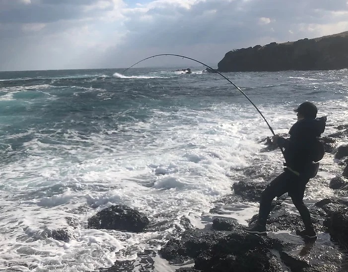 TRANSCENDENCE/トランスセンデンス】Mareflipp 102S / マーレフリップ