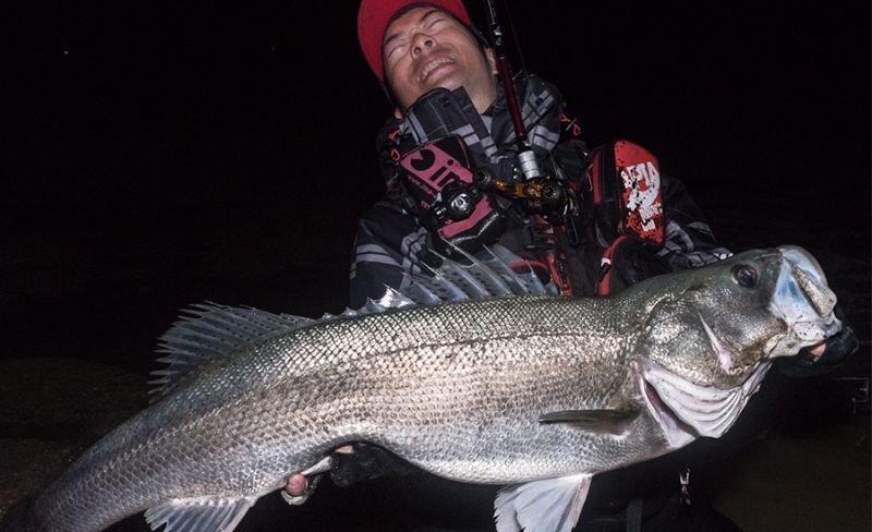 Fishman/フィッシュマン] BRIST VENDAVAL 8.9M (code:FM0085)