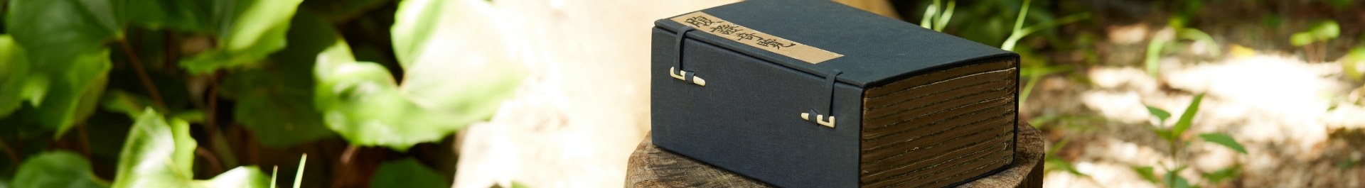 腹証奇覧・腹証奇覧翼（ふくしょうきらん・ふくしょうきらんよく