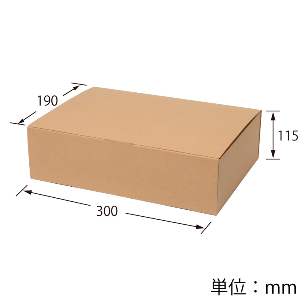 組立式ダンボール箱・エコ 300×190×115mm 「10枚から」 | ダンボール箱