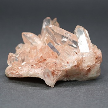 manx-cl0871is-350x350.jpg