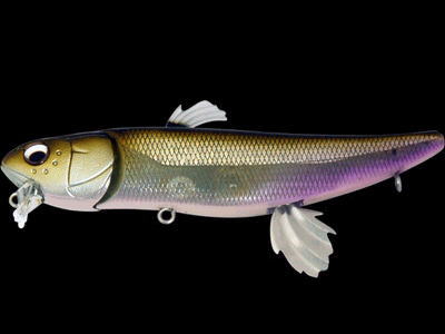 MEGABASS / ZZ-DAX | IchibanTackle.com