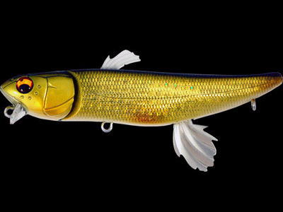 MEGABASS / ZZ-DAX | IchibanTackle.com