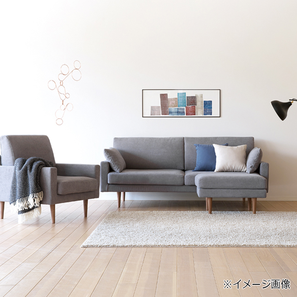 ソファ 2.5人掛け「レオ」幅165cm #5グレー色 脚部全2色 | 【公式