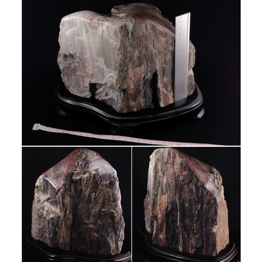 珪化木（木化石）原石置き飾り 5．2kg 天然石販売 名取貴石 天然石