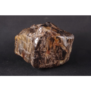 珪化木（木化石）原石磨き 735g 天然石販売 名取貴石 天然石・国産