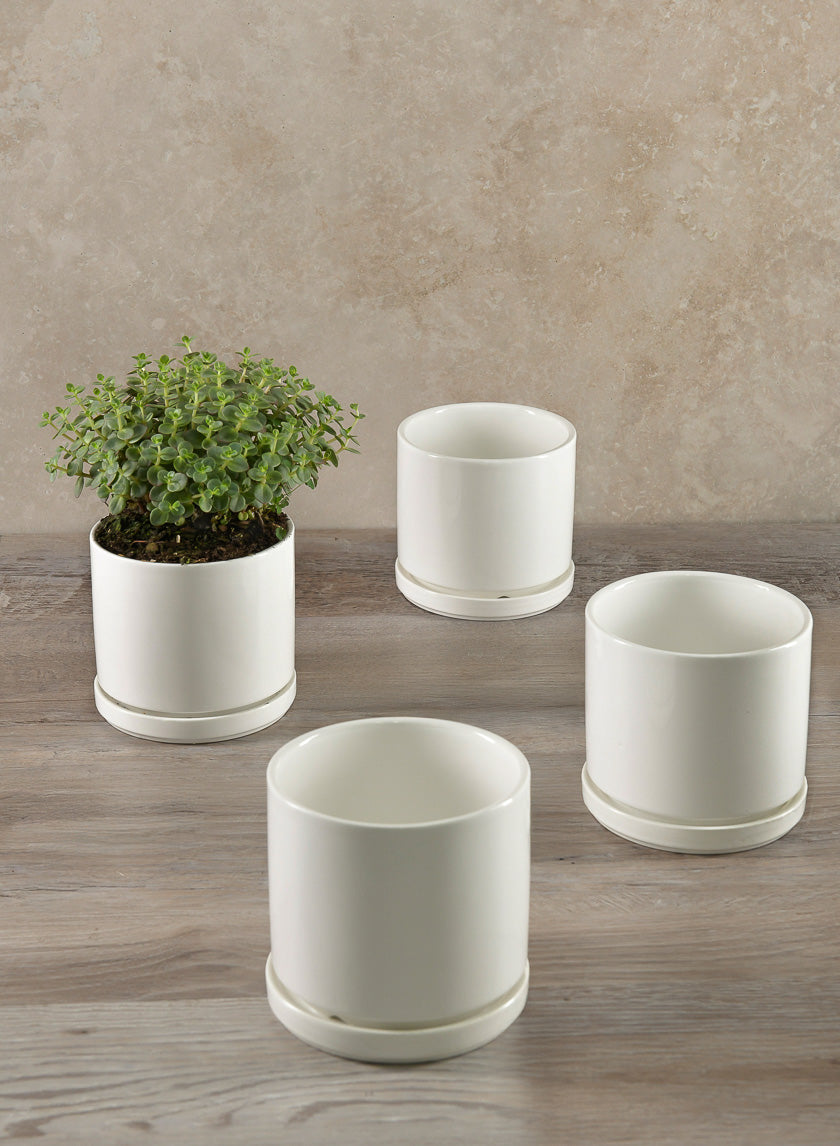 4.5in Tall Odense White Indoor Ceramic Pot with Saucer, Set of 4