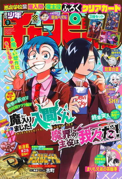 IMG-8715_grande.jpg?v=1737988139