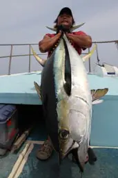 オフショアスティック GTK-74PG - 40,500円 : 海釣り、船釣り専門店の