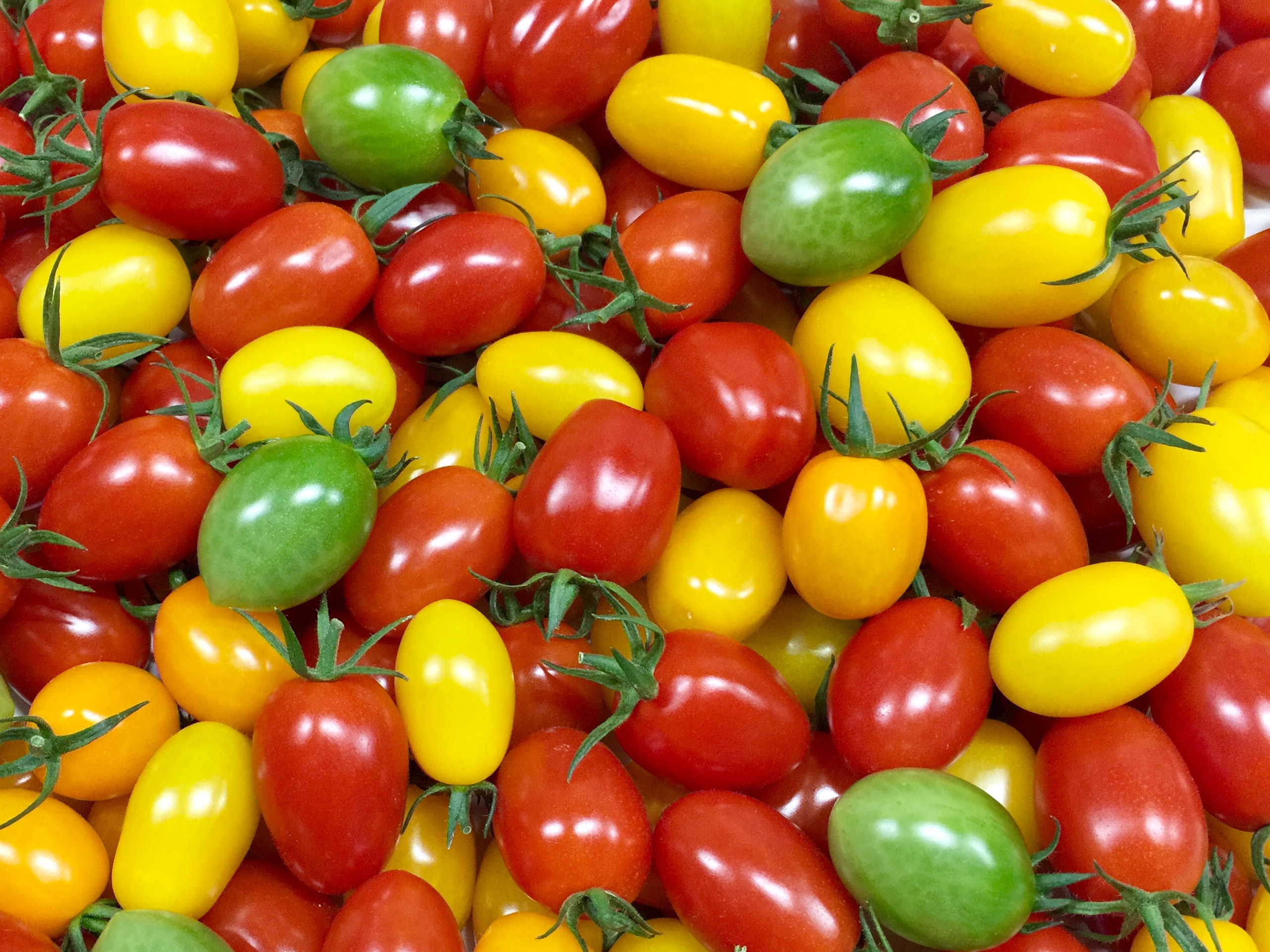 商品詳細｜美味しさへのこだわりが詰まったトマトを届ける｜サザキ農園