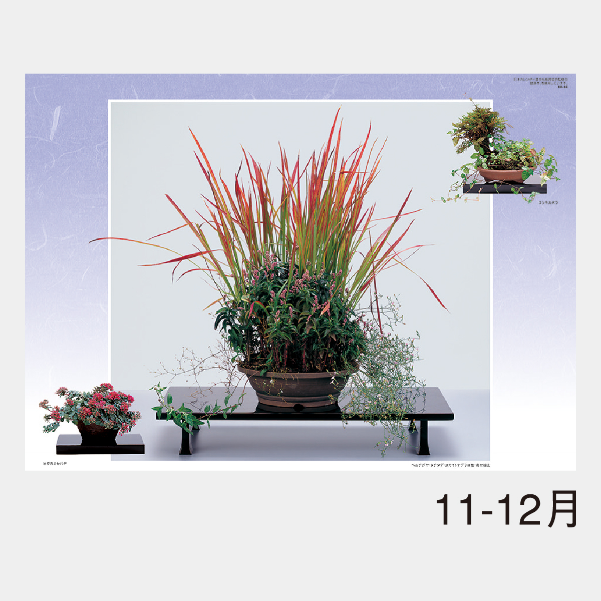 NK-46 野の花・山の花(山野草盆栽集)2026年版の名入れカレンダーを格安