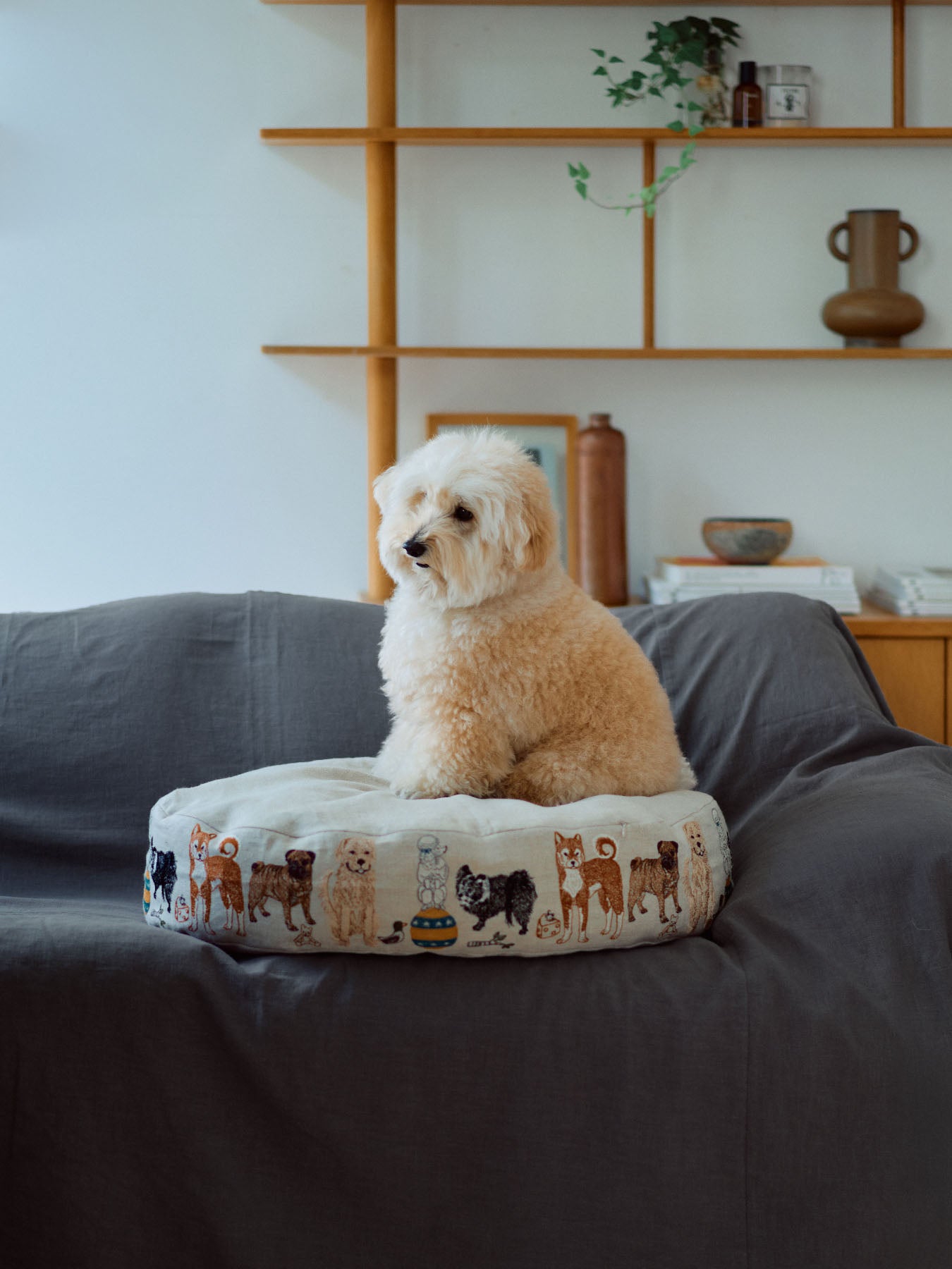 coral_3154_2.jpg?v=1765535049&