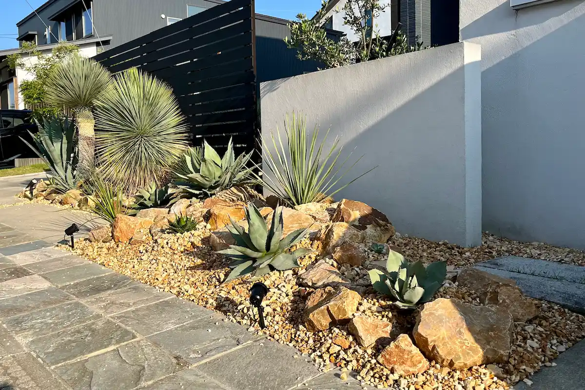 25選】ドライガーデンで人気の植物！寒さに強いおすすめは？