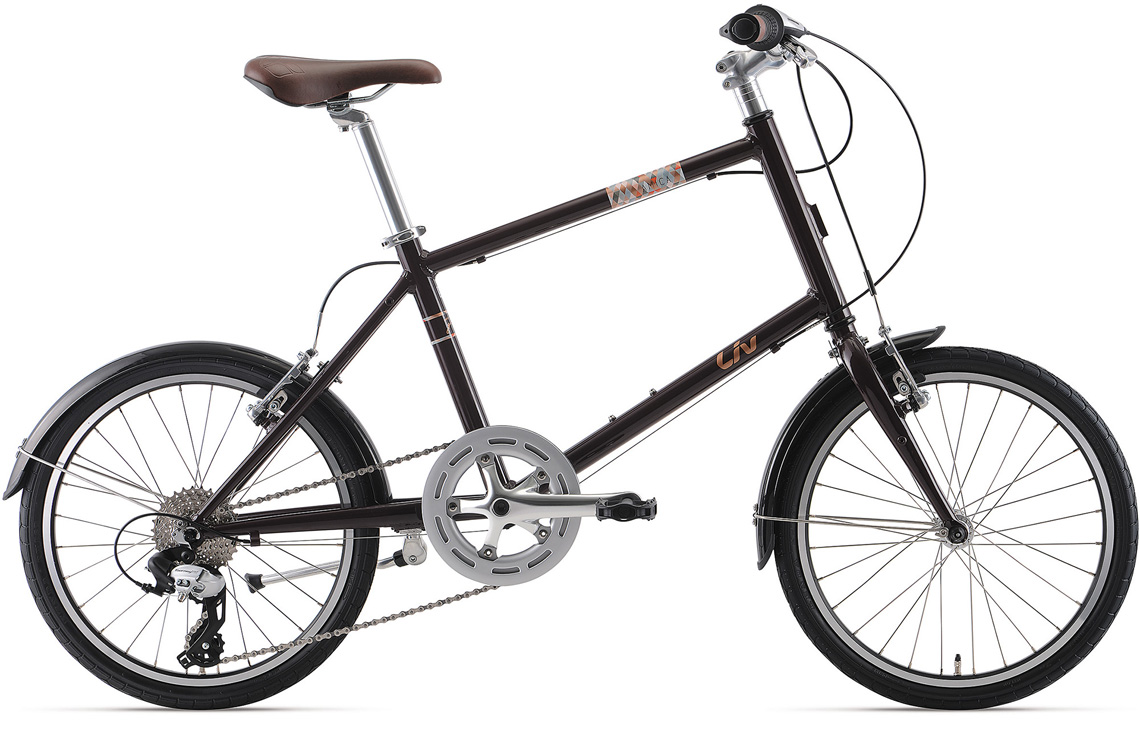 2020 Liv Cycling | AMICA