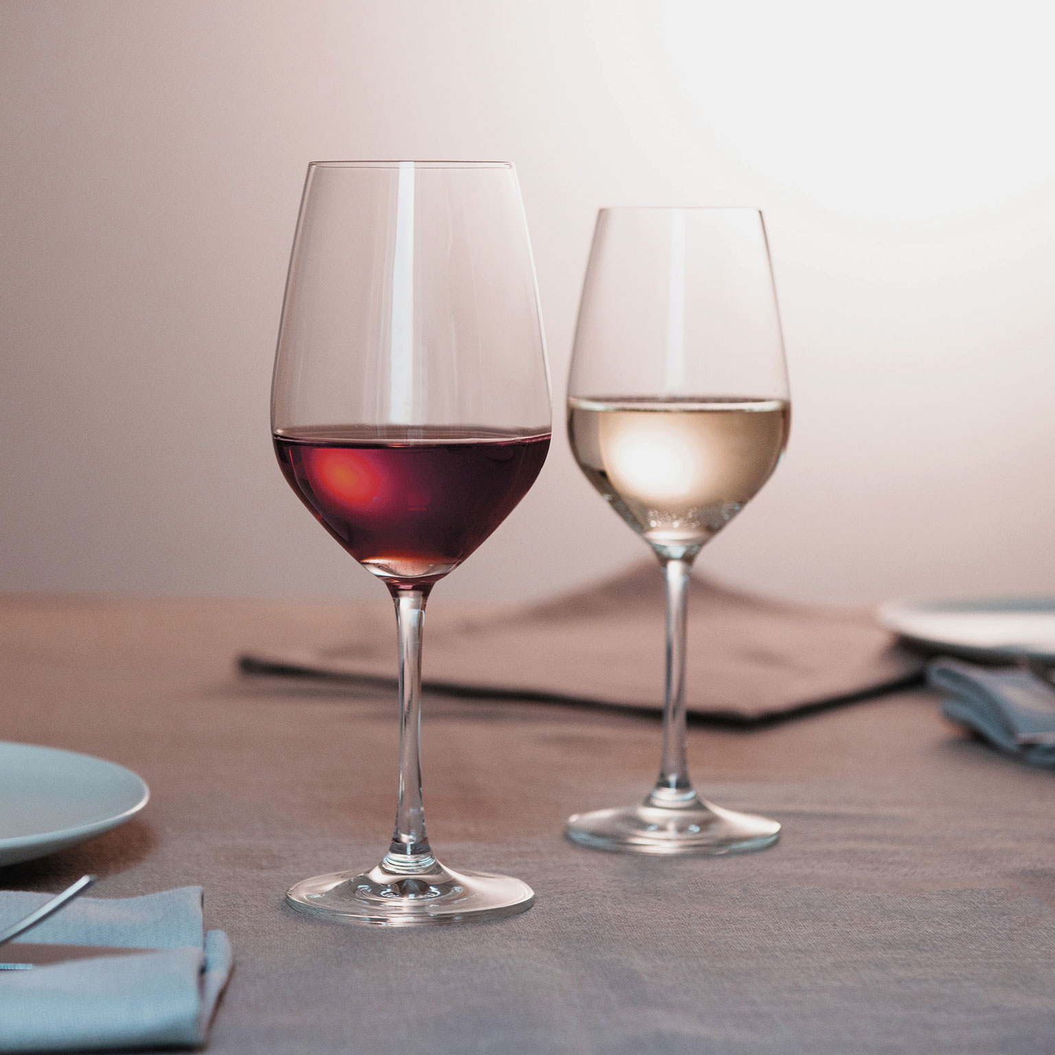 SCHOTT ZWIESEL（ショット ツヴィーゼル）VINA ワイングラス | LIVING