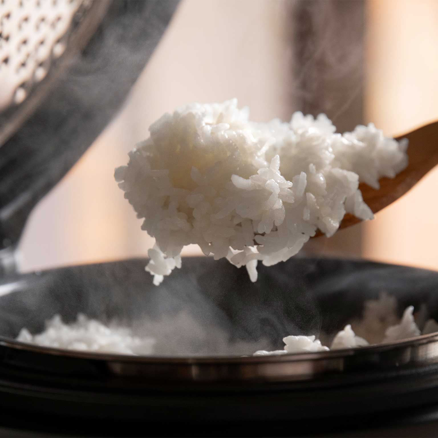 BALMUDA（バルミューダ）The Gohan | LIVING MOTIF｜家具・インテリア