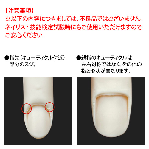JNA | STモデルハンド 左手 | ライフビューティーネイルプロショップ