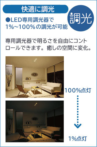 DAIKO 大光電機 スポットライト DSL-4901ABG | 商品紹介 | 照明器具の