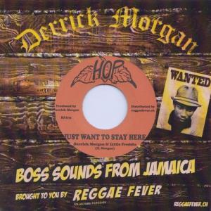 全商品 | LION MUSIC DEN