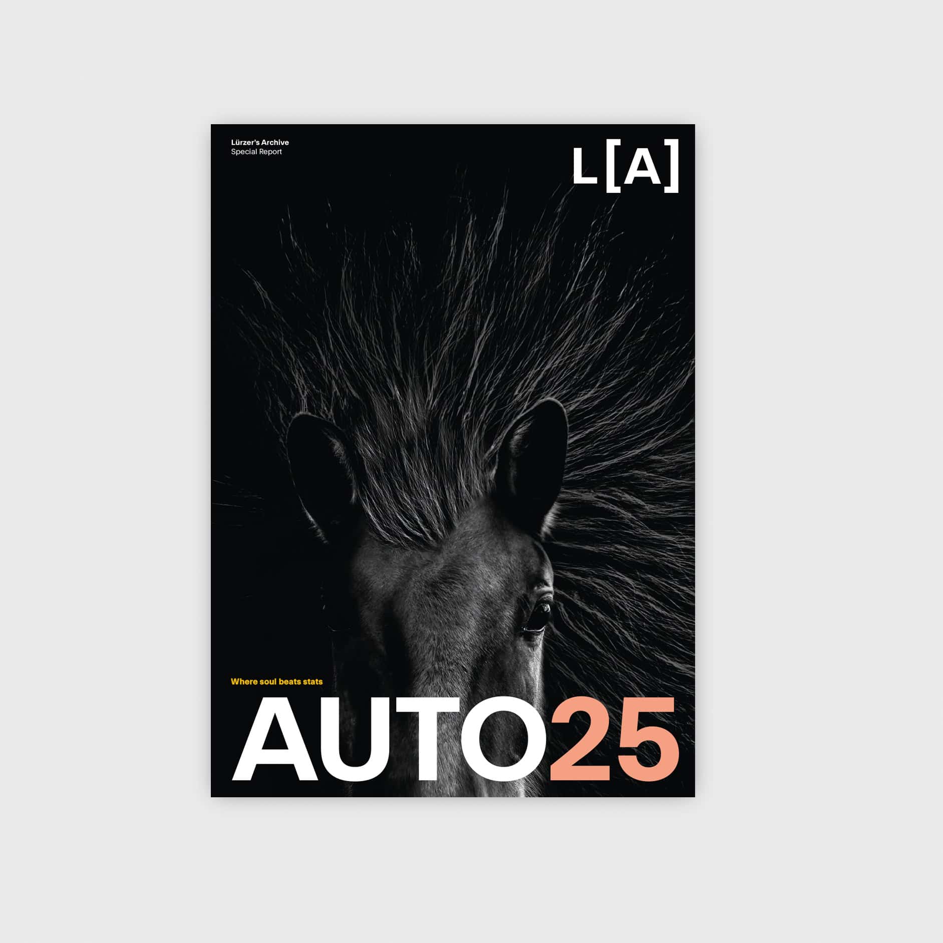 Magazine Archives | Lürzer's Archive