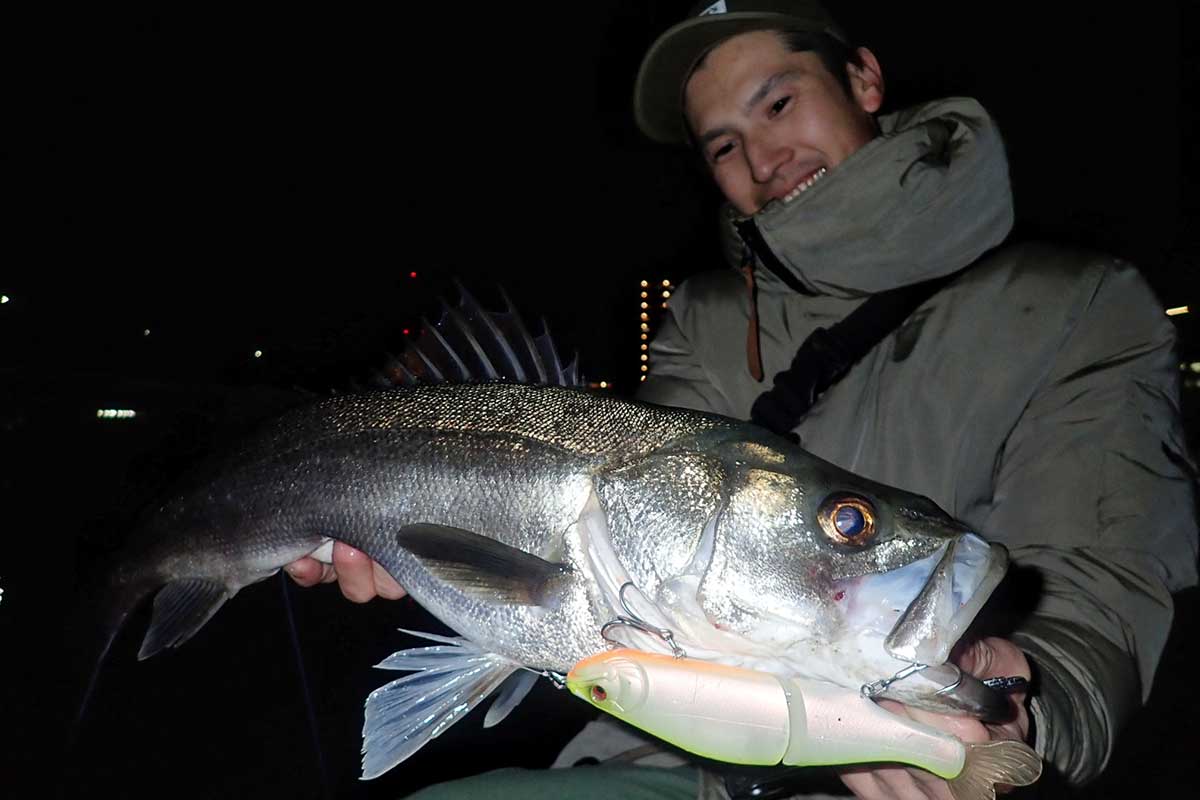 デストロイヤー空海710EXHC』シーバス&ロックフィッシュゲーム