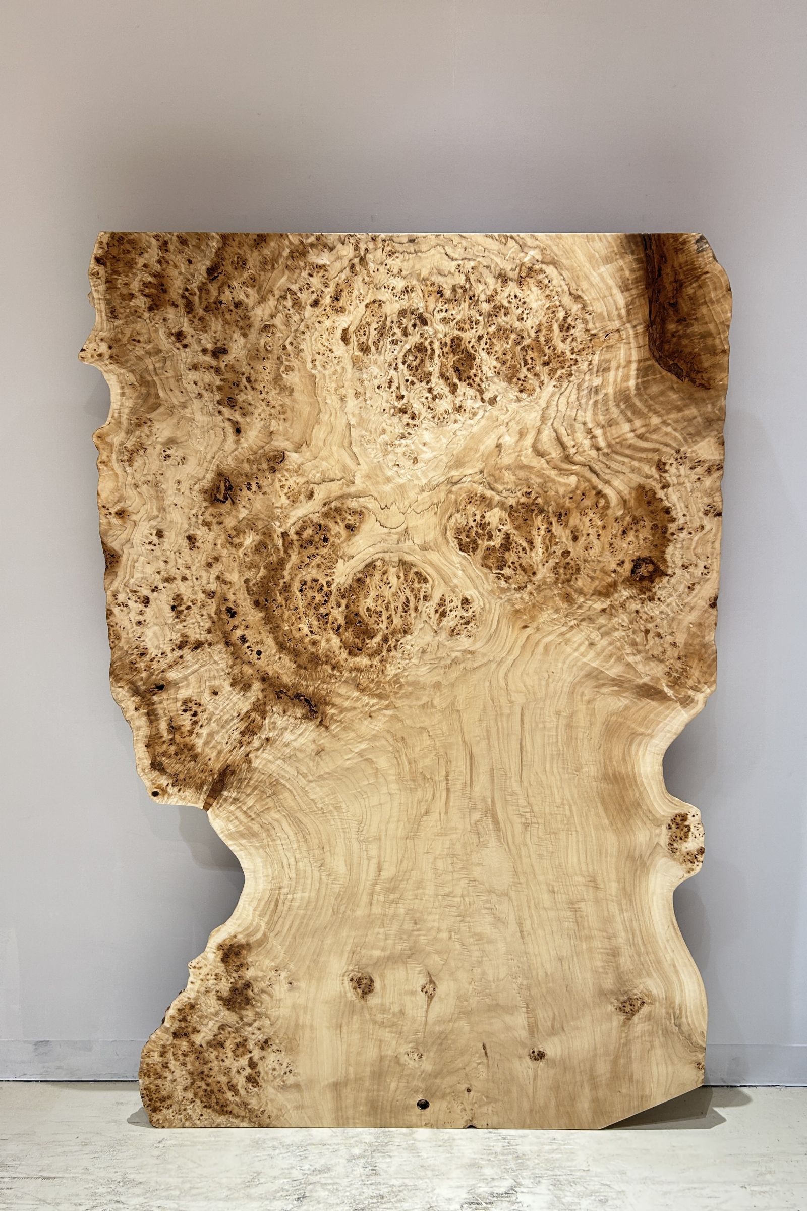 天然木 東京 新宿 東五軒町展示 楠（くすのき）材 一枚板 セール｜一枚