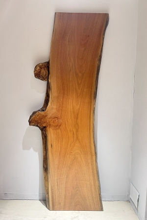 天然木 東京 新宿 東五軒町展示 楠（くすのき）材 一枚板 セール｜一枚