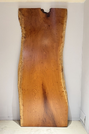 天然木 東京 新宿 東五軒町店展示 欅（けやき・ケヤキ）材 一枚板