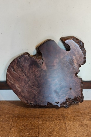 天然木 東京 新宿 東五軒町展示 モンキーポット材 一枚板 テーブル用天