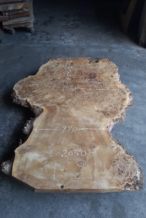 天然木 新潟工場 ポプラ瘤（バール）材 一枚板 カウンター、テーブル用