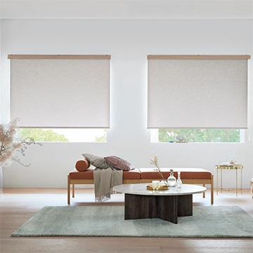 ランバル RS-1008・1009 ラルクシールド タチカワブラインド｜ロール