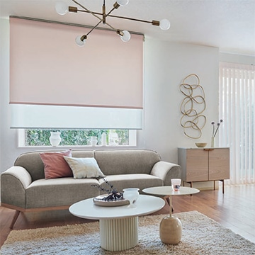 電動大型タコスII タチカワブラインド｜ロールスクリーン（ロール