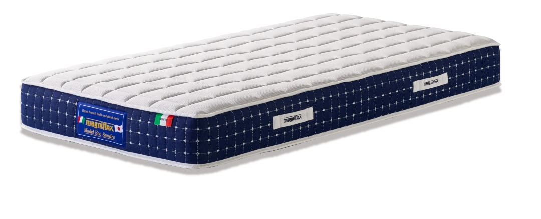 magniflex 日本上陸30周年記念限定モデル EcoSandro