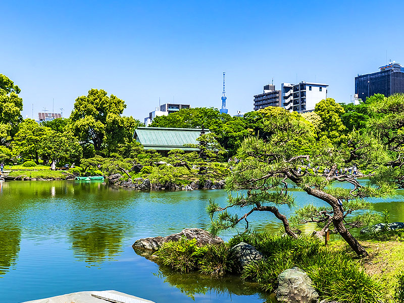 まいまい大学】一から学ぶ日本庭園、美と思想が凝縮された深淵の世界に