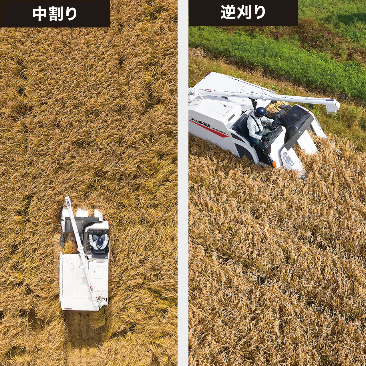 刈取り・脱こく・収こく｜Combine XC334 / 448｜コンバイン｜製品情報