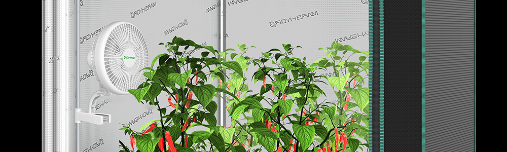 Your Indoor Ventilation Expert – Mars Hydro 6-Inch Oscillating