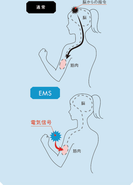 INBEAUTE EMS Body Set（インボーテ イーエムエス ボディ セット