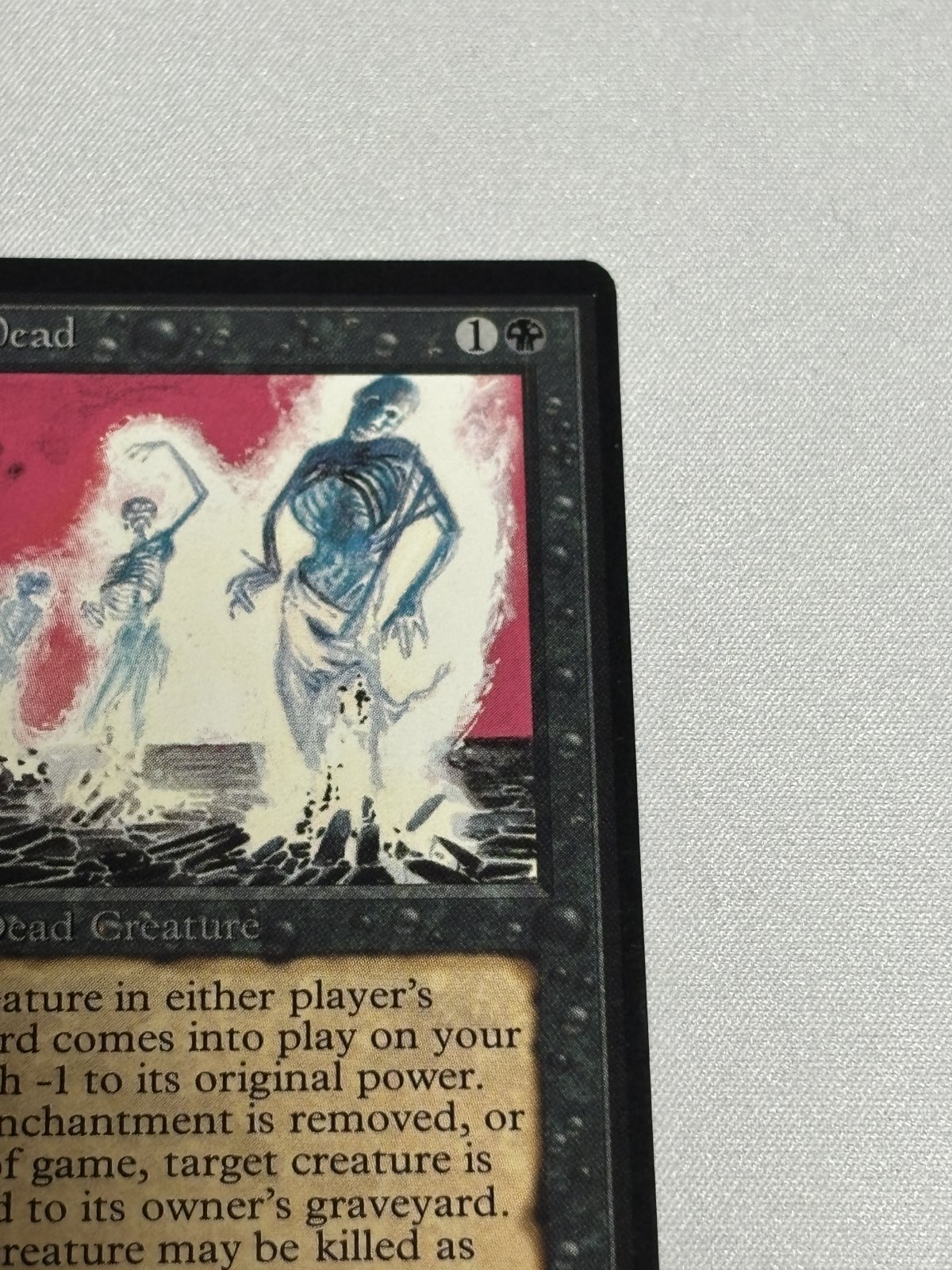 動く死体/Animate Dead》[LEB] NM - MTG専門店 Initiative