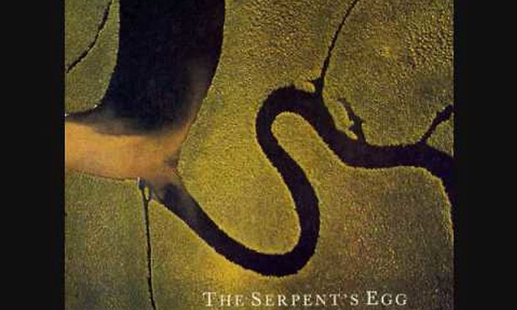 The Serpent's Egg, Dead Can Dance – LP – Music Mania Records – Ghent