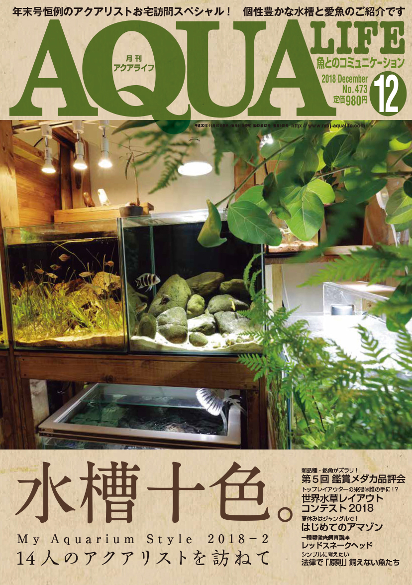 アクアライフ2023年12月号11月10日発売！ ｜ エムピージェー
