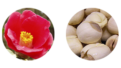 最高峰スキンケアシリーズ「スペチアーレ」より、ノエビアで最も多くの