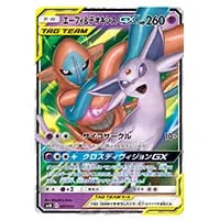 ブラッキー＆ダークライGX [エーフィ＆デオキシスGX・ブラッキー