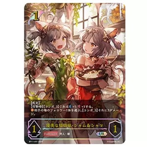 ダークドラグーン・フォルテ SP [宿命の弾丸] BP11-SP02 買取