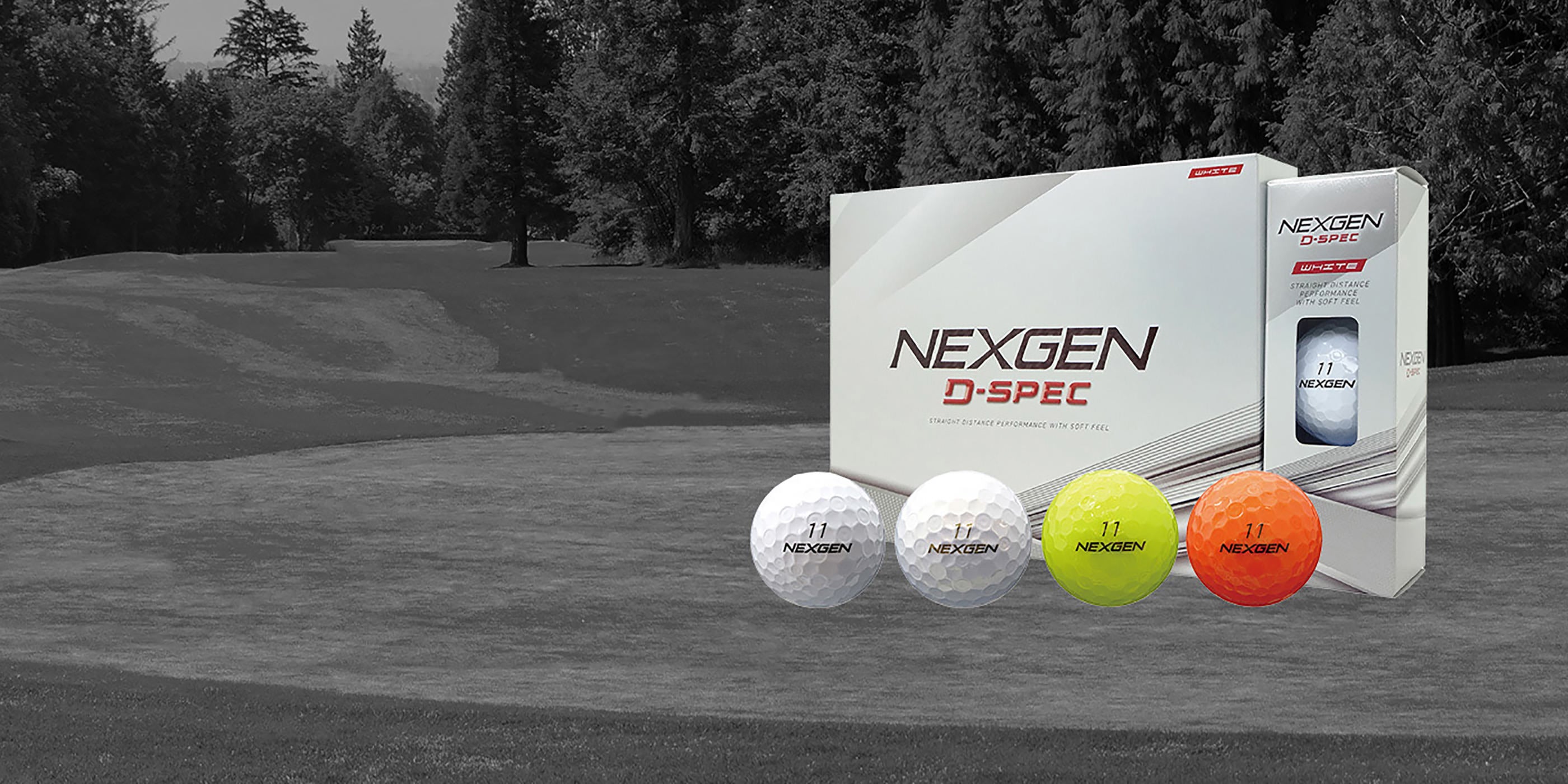 D-SPEC Ball（2024） | NEXGEN -ネクスジェン-