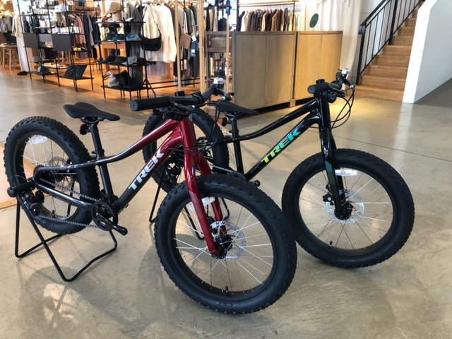 限定モデル キッズバイク「ROSCOE20」 | 宇品店 | バイシクルネコ