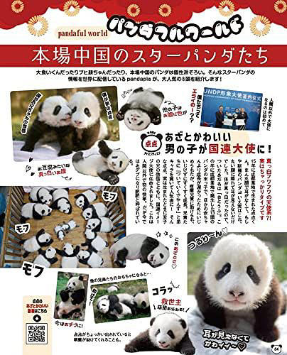 パンダ自身 3頭め (光文社女性ブックス) 光文社 本/雑誌 - Neowing