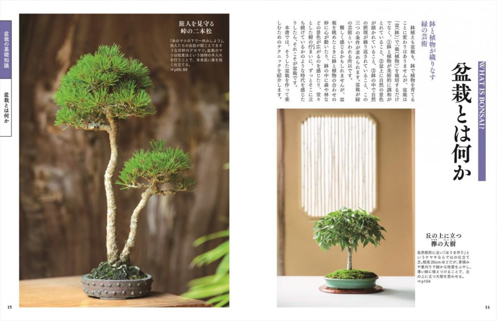 よくわかる盆栽 基礎から手入れまで | ナツメ社