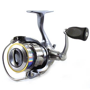 937_1.jpg?20050516123908